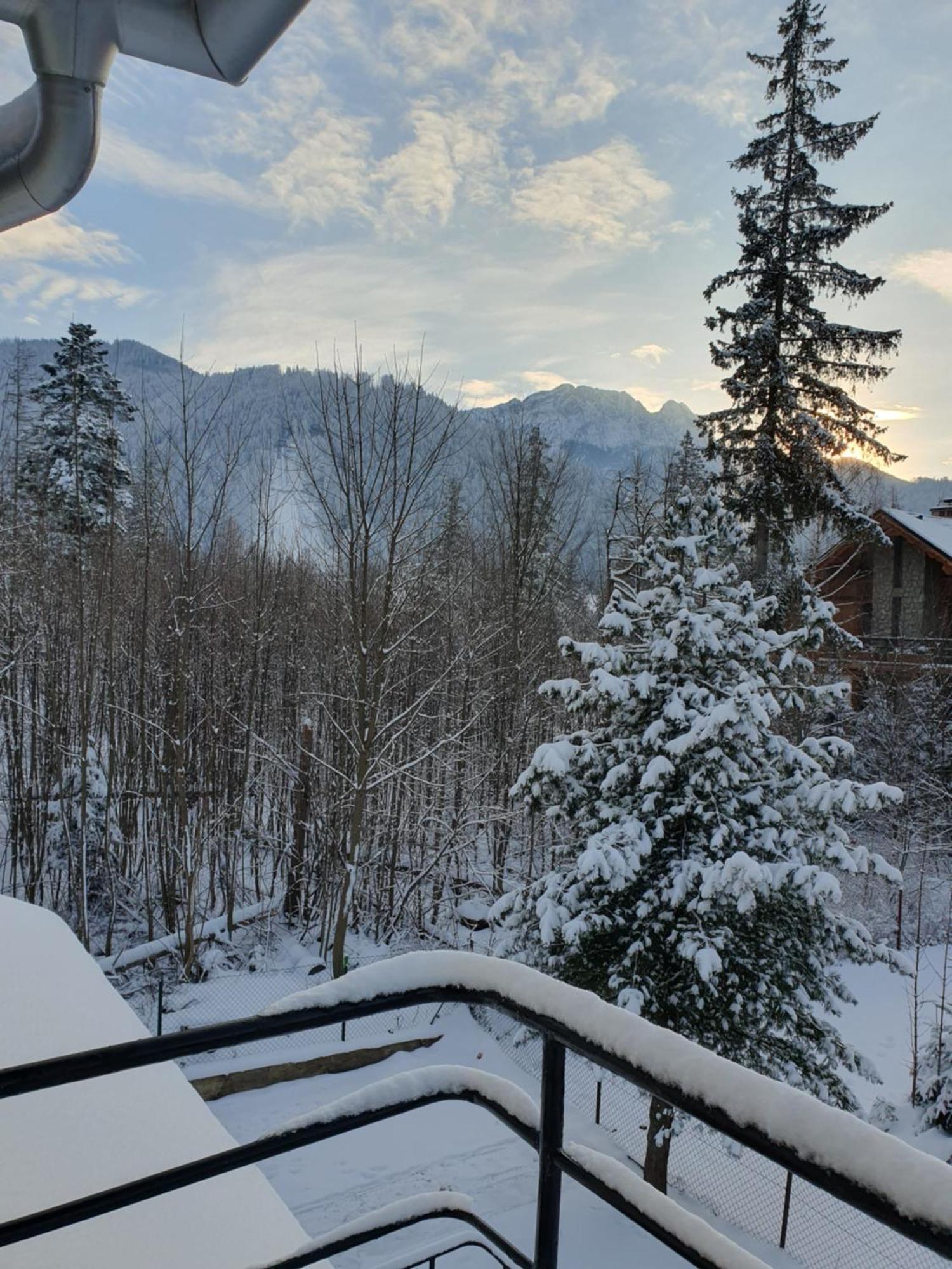 Asteria Apartment Zakopane Exterior foto