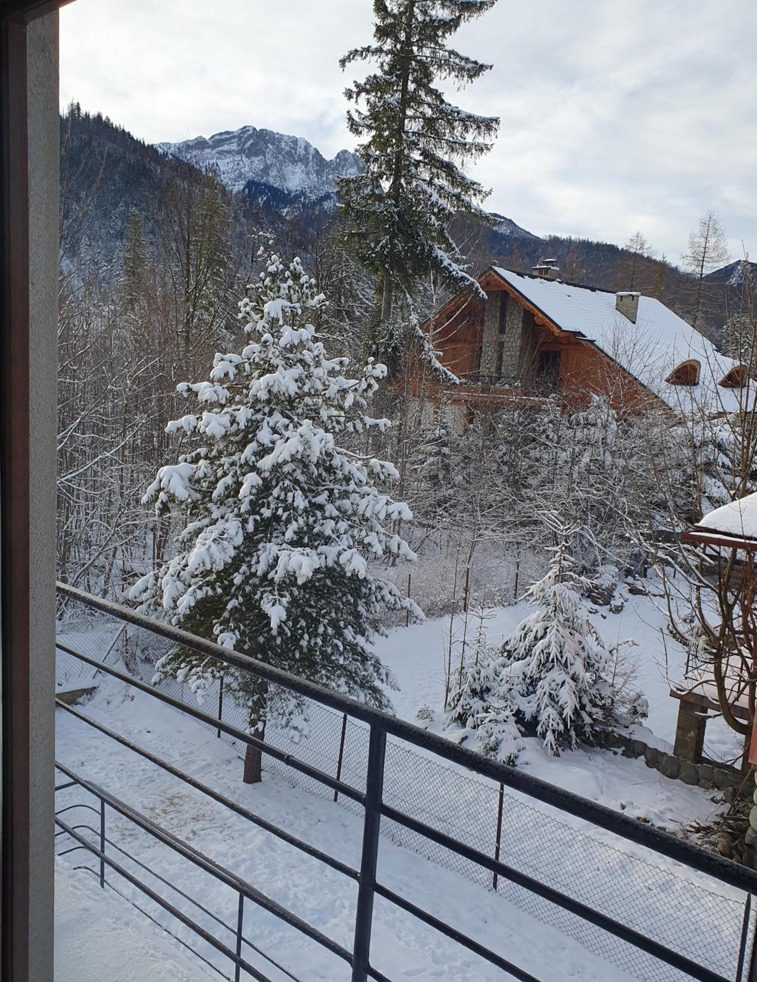Asteria Apartment Zakopane Cameră foto