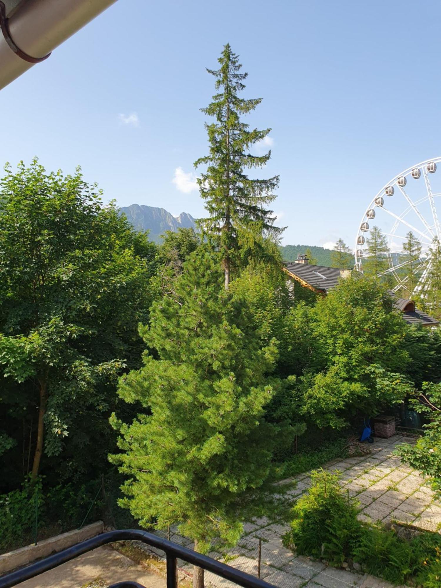 Asteria Apartment Zakopane Cameră foto